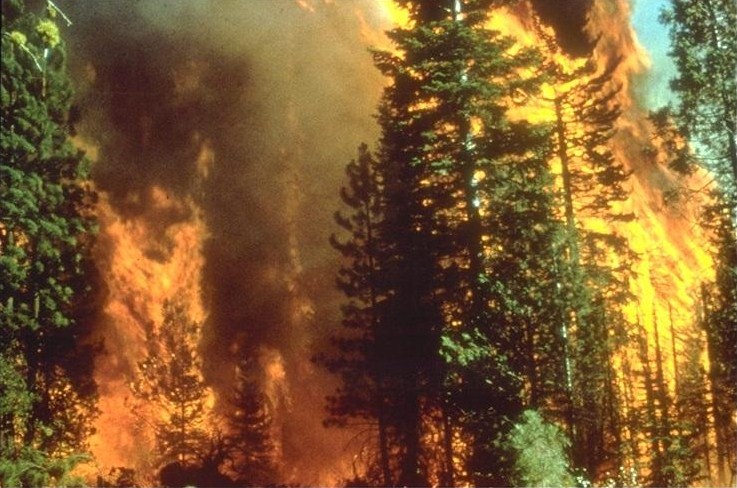 The California Wildfires of 2020 are just one symptom of global climate change.