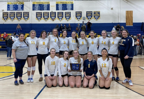 Del Vals volleyball team won this years South Group 1 Sectional Championship.