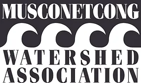 Musconetcong Watershed Association: Junior Camp Counselor