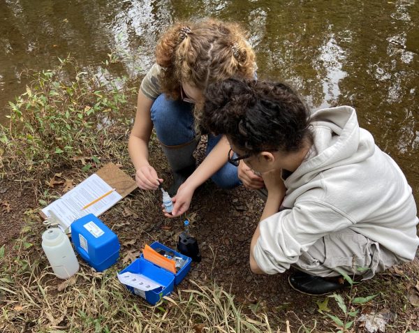 Del Val AP Environmental Science students conduct a phosphorus test to determine nutrient levels at Lockatong Creek in Kingwood, New Jersey. (Photo via Stacy Grady)
