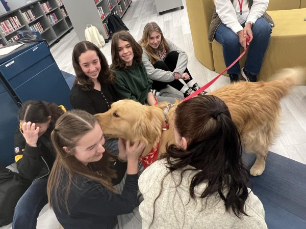 Del Val students have the opportunity to de-stress for an hour with therapy dogs.