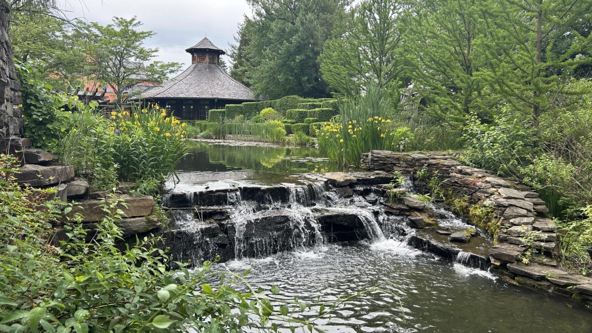 There were many ponds with pretty greenery around it that created a beautiful landscape.