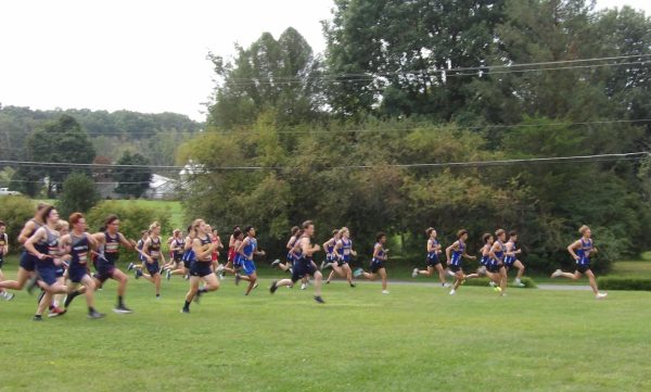 Cross Country runners take off at the beginning of the race.