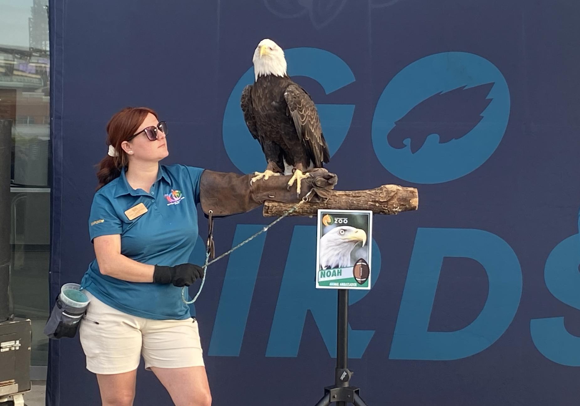 Eagles host watch party to kick off the season