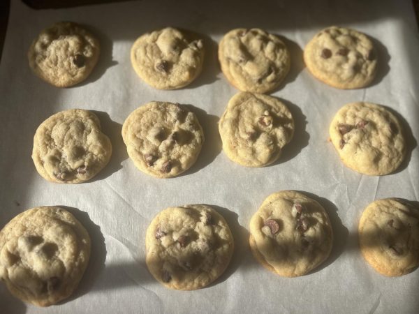 We tested out the most popular chocolate chip cookie recipe on the internet.