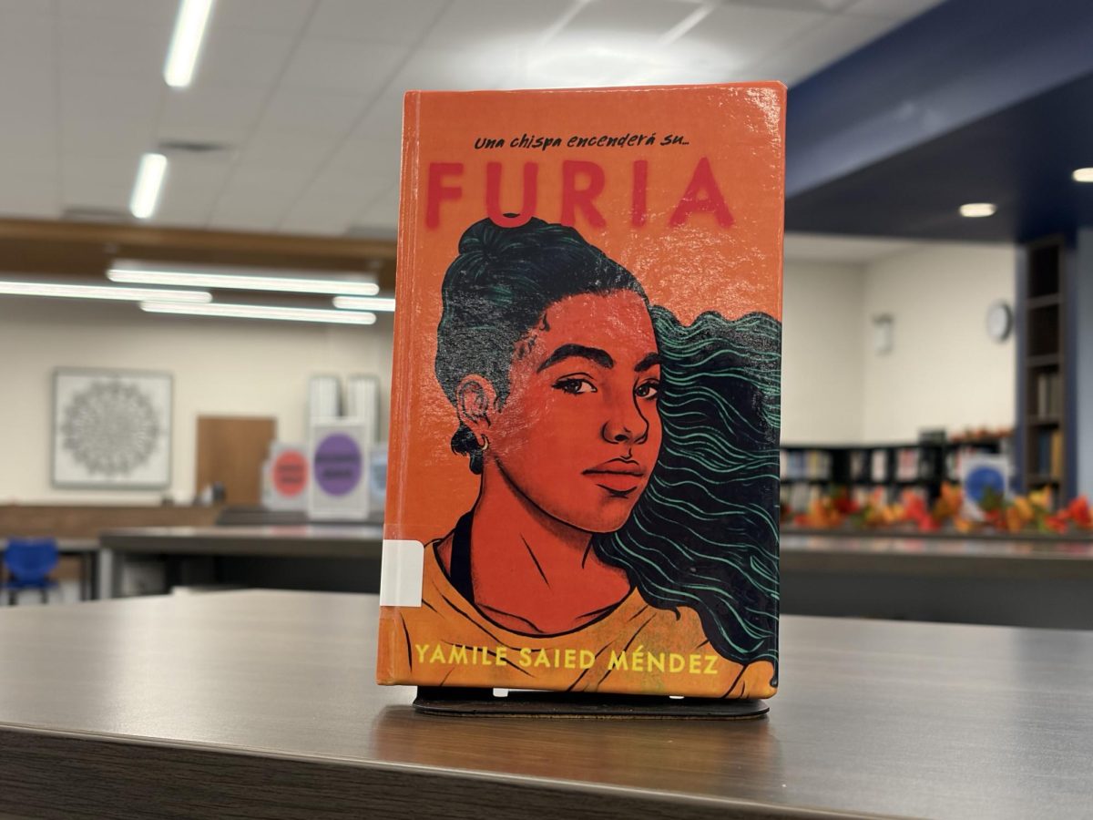 Furia escrito por Yamile Saied Mendez 