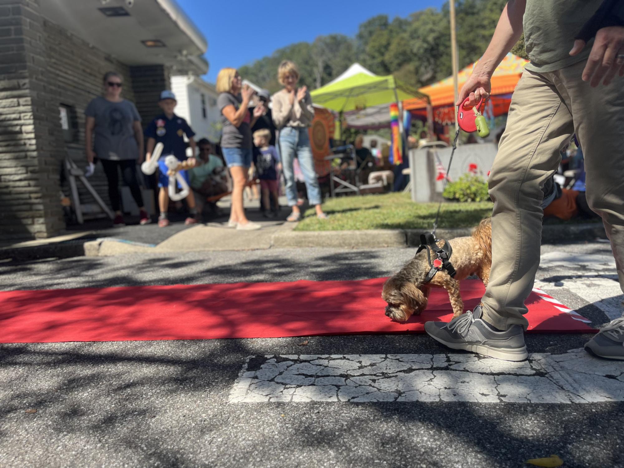 World Fair provides community with multicultural experience