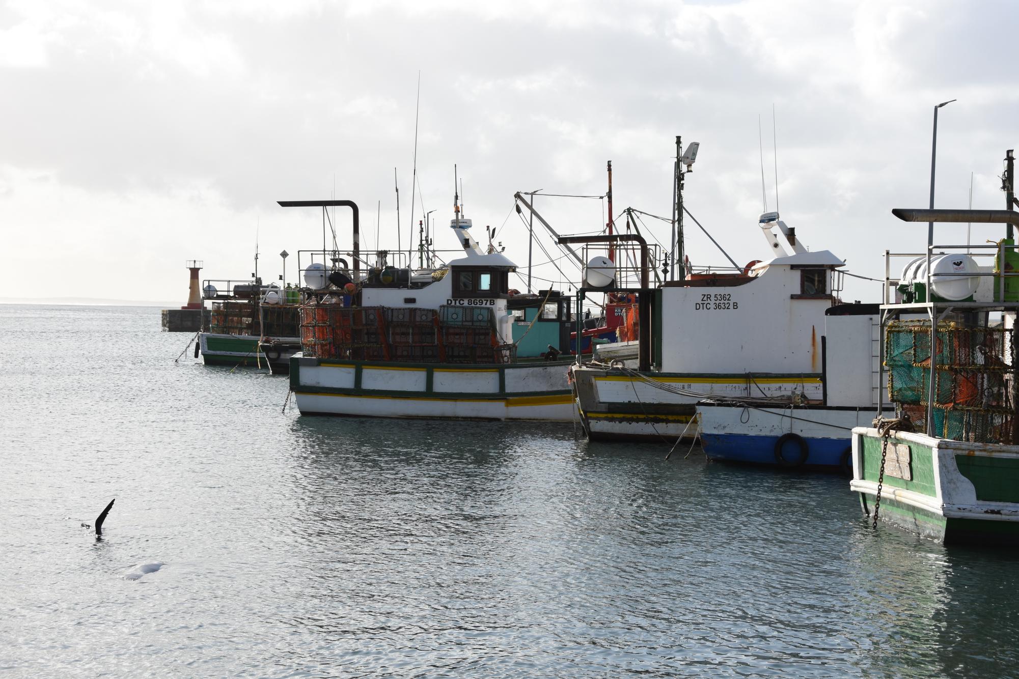 Claire Hitchcock documents her trip to Africa with a series of photos that take the Del Val community around the world for a "once in a lifetime experience."