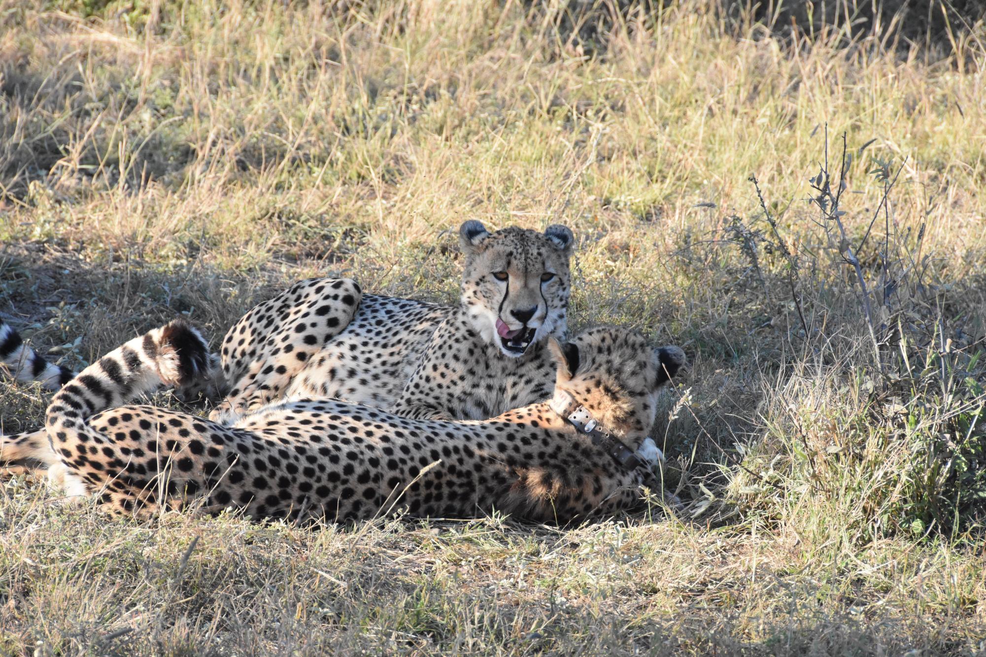 Claire Hitchcock documents her trip to Africa with a series of photos that take the Del Val community around the world for a "once in a lifetime experience."