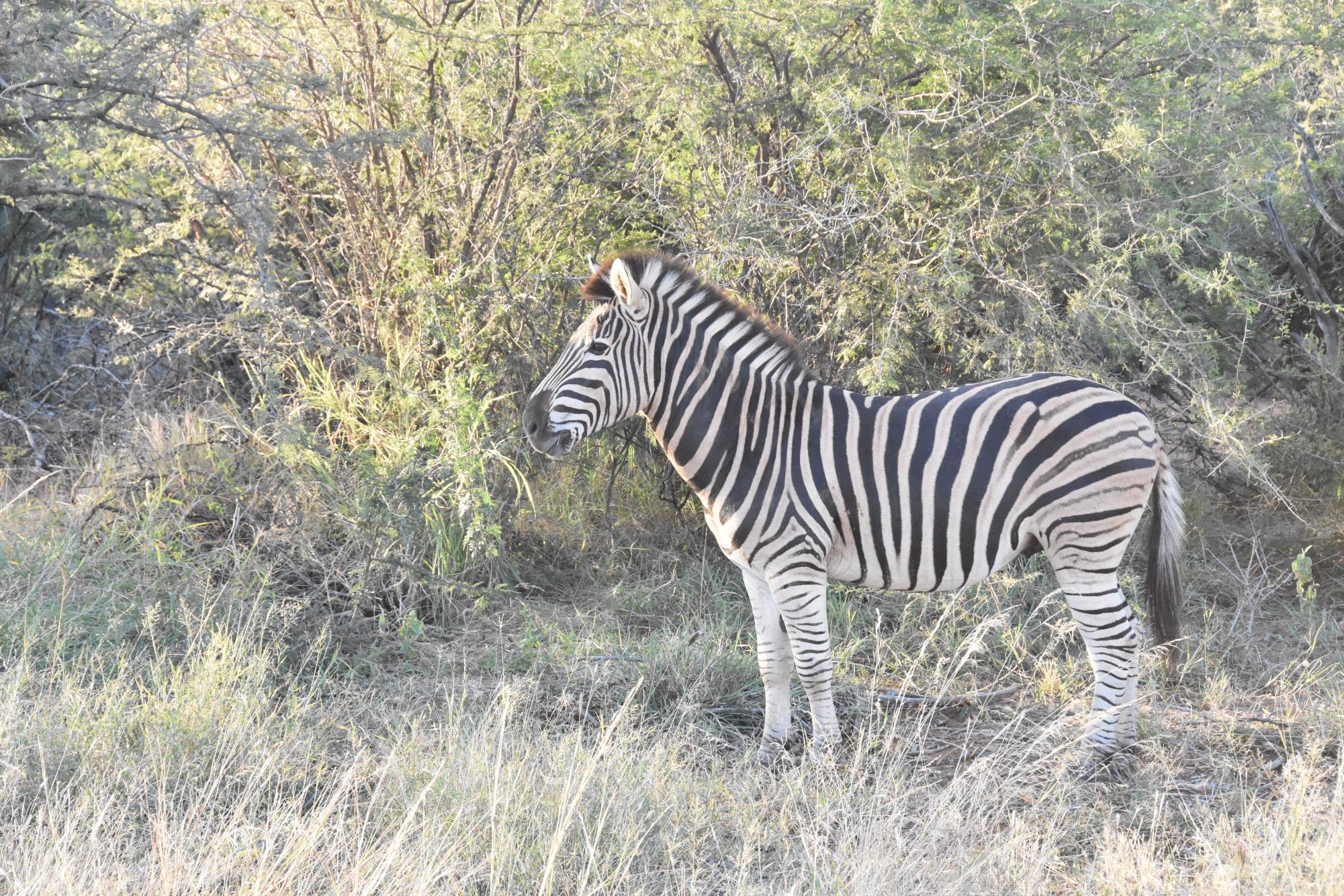 Claire Hitchcock documents her trip to Africa with a series of photos that take the Del Val community around the world for a "once in a lifetime experience."