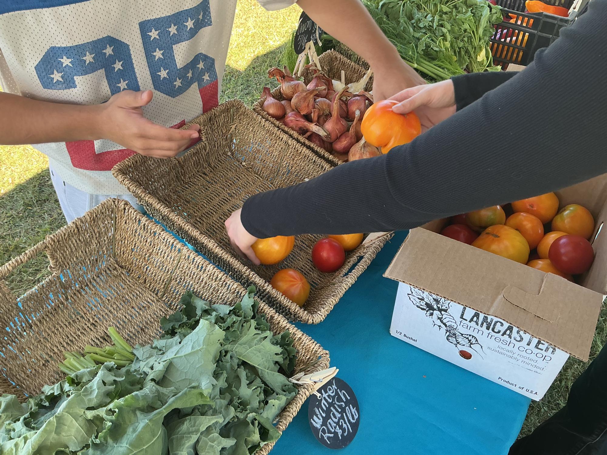 Lu Steele preps the Bull and Serpent stand as customers begin to arrive. The Frenchtown Farmer’s market features a variety of different vendors and artisans.