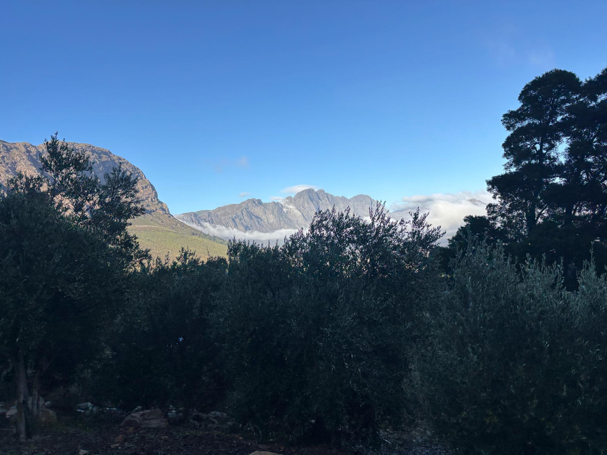 Claire Hitchcock documents her trip to Africa with a series of photos that take the Del Val community around the world for a "once in a lifetime experience."