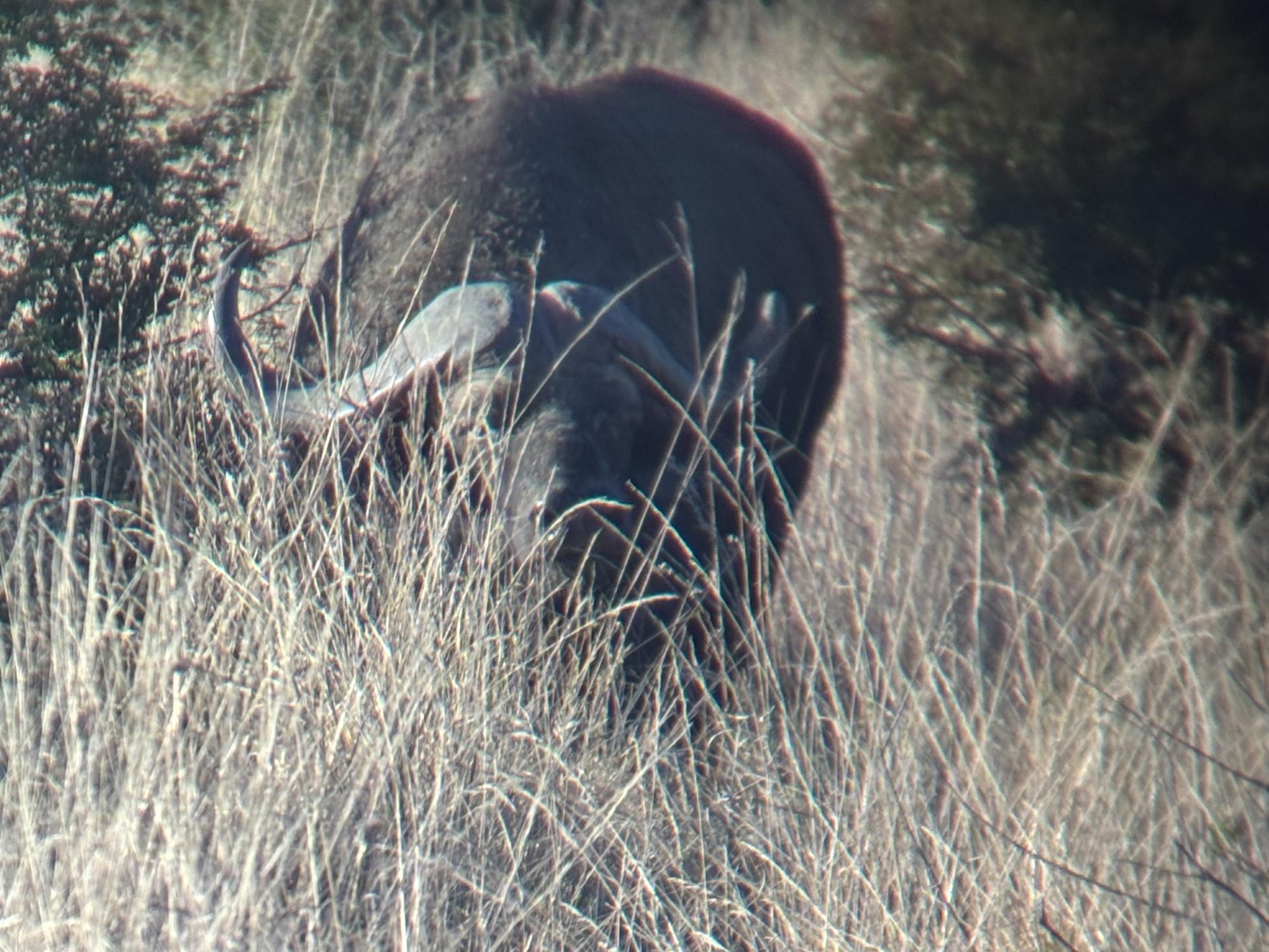 Claire Hitchcock documents her trip to Africa with a series of photos that take the Del Val community around the world for a "once in a lifetime experience."