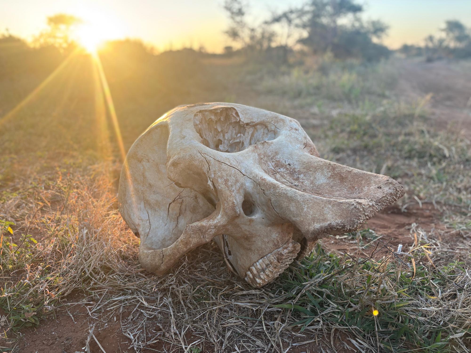 Claire Hitchcock documents her trip to Africa with a series of photos that take the Del Val community around the world for a "once in a lifetime experience."