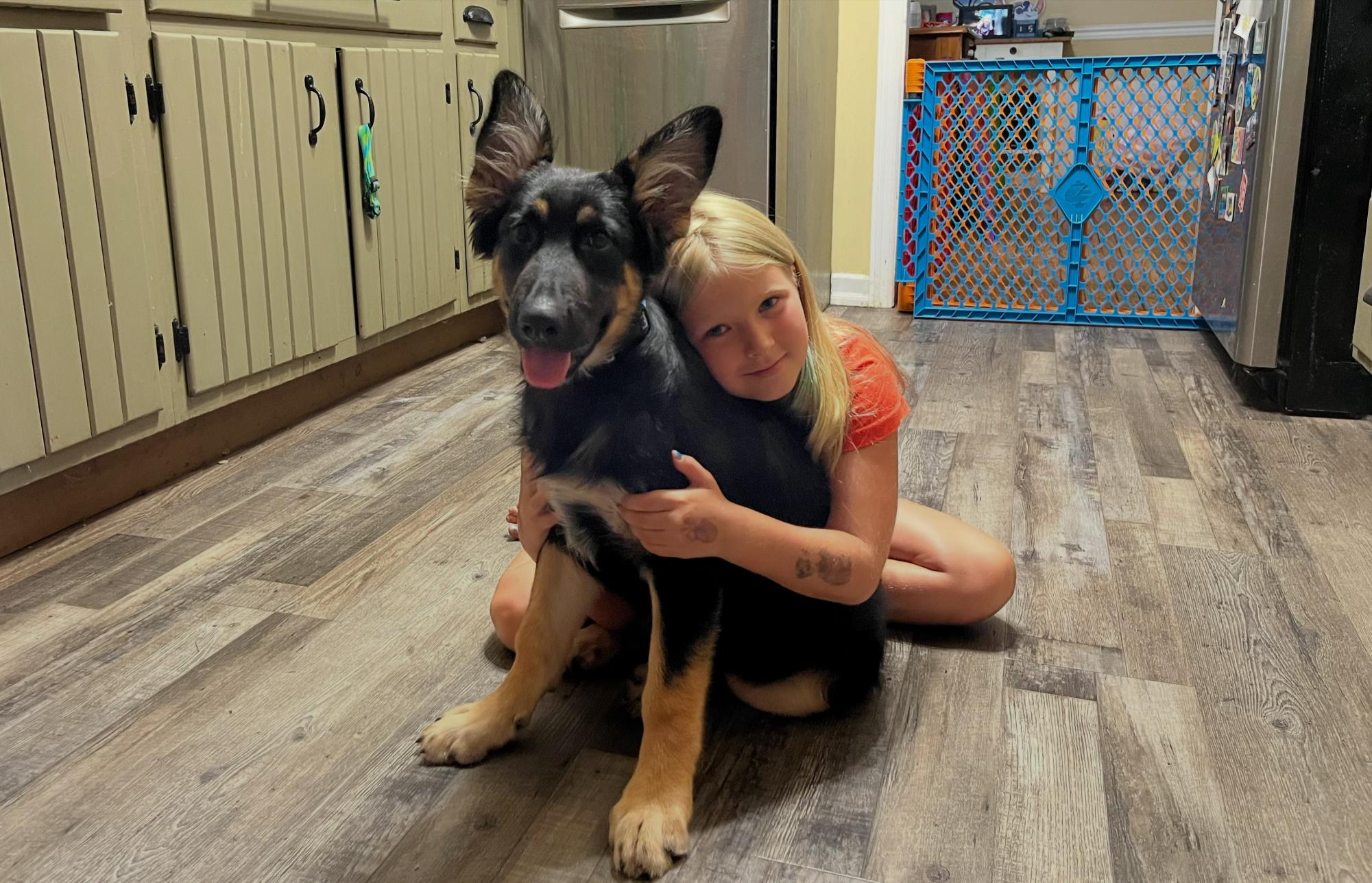 Shop or adopt? Why you should rescue a pet