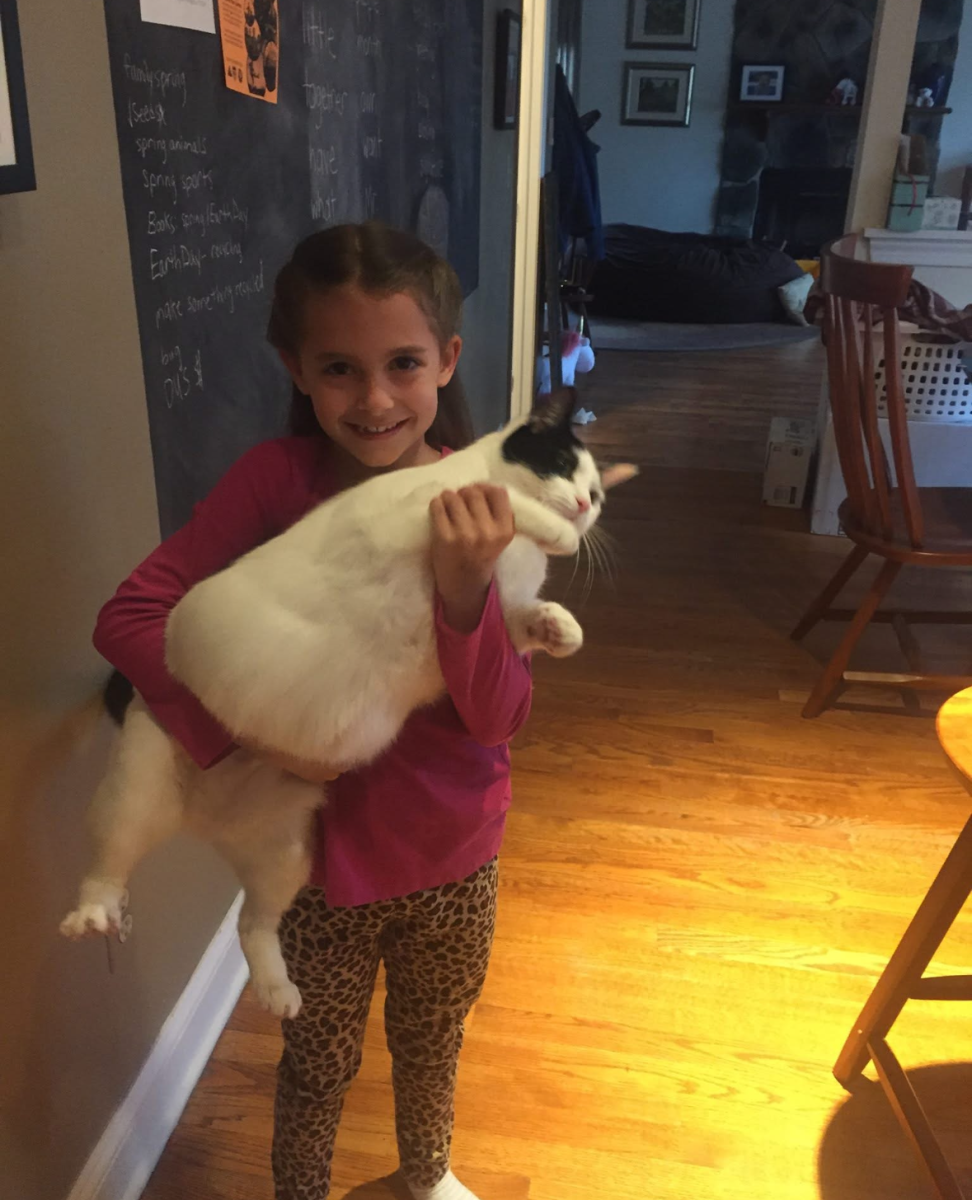 Sneaker is a rescue cat and survivor who was pulled from a dumpster three days after his birth. Sneaker is a selective-lover, but, when it comes to his chosen humans, he is loving, sweet and mushy. (Photo via Sage Hason)