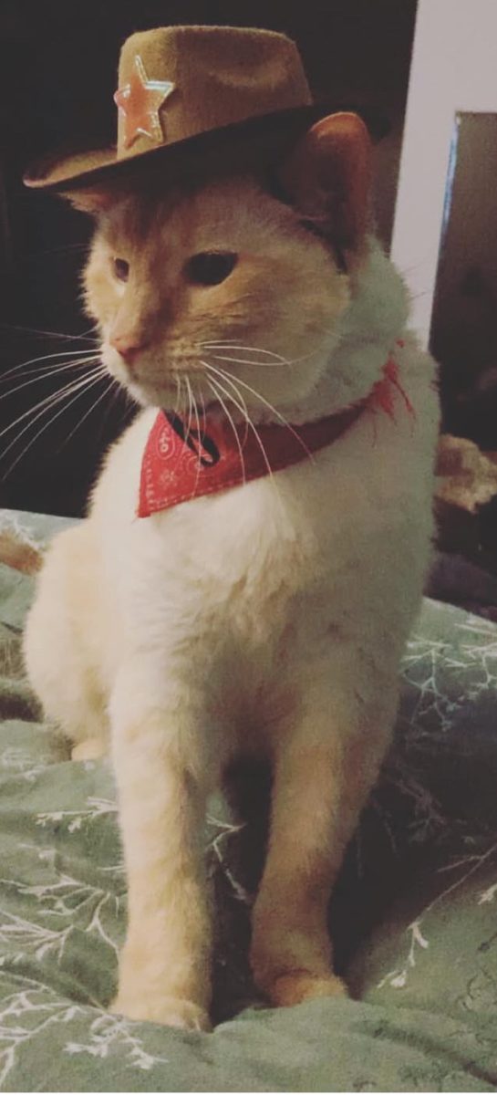 Chimichanga was found as a baby in 2012 walking home from a restaurant covered in worms and dirt. (Photo via Kelly Meise)