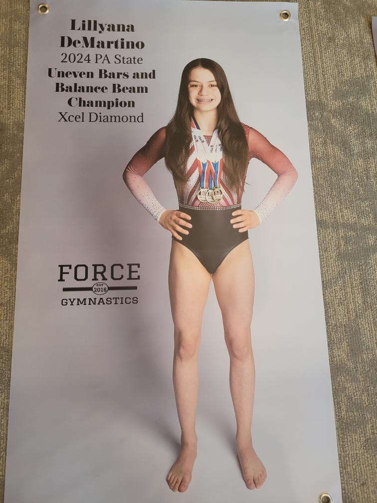 Raising the bar: the life of a student gymnast