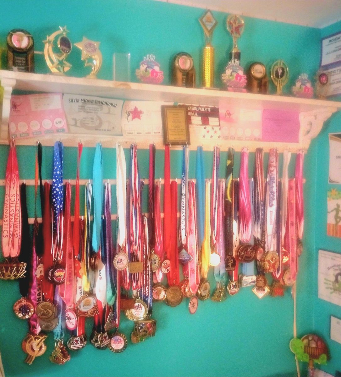 A collection of the awards Lillyana DeMartino has earned throughout the years of her gymnastics career. 