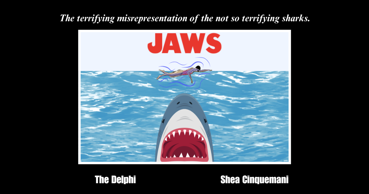 After 50 years preconceptions about sharks formed by "Jaws" still persist.