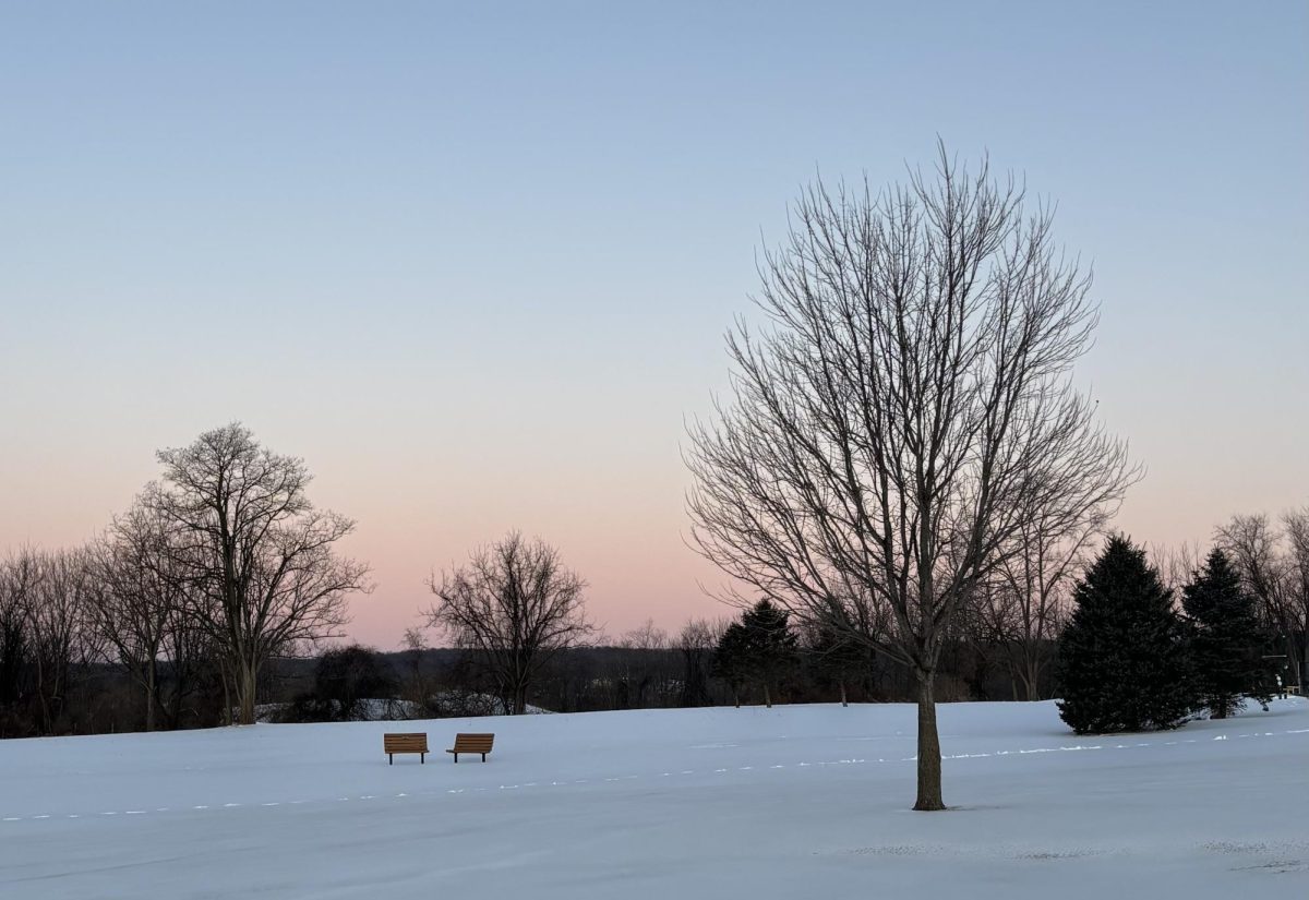 Snow covers Alexandria Park after a heavy storm. Excessive precipitation mixed with abnormally cold temperatures lead to heavy snow fall.