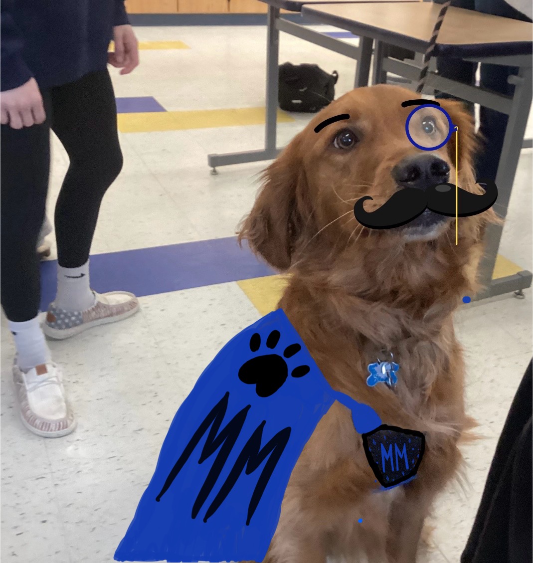 Milo uses his eyeglasses to determine the state of wellbeing of Del Val. His mustache was added to his superhero gear as a disguise for when needed. 