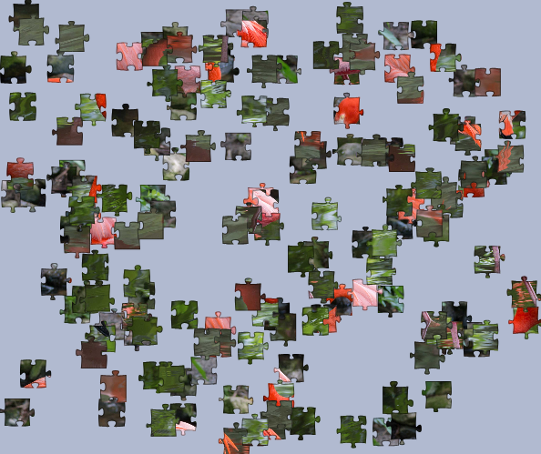 jigsaw scrambled