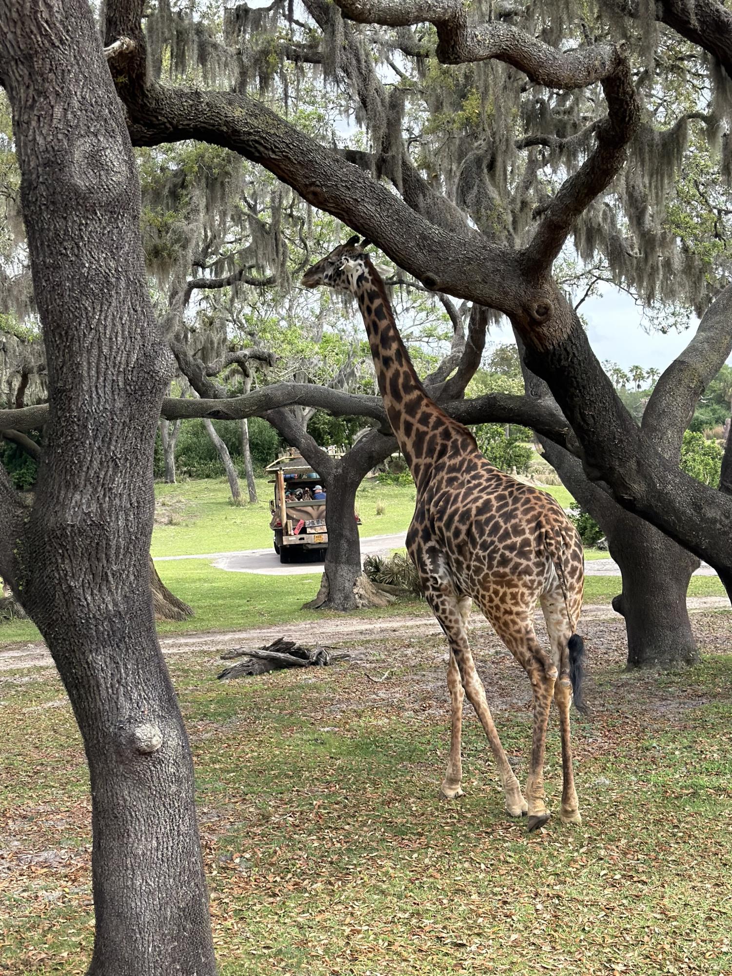 Del Val's performing arts students spent part of their spring break in Orlando, Florida practicing their craft while enjoying Disney's theme parks.