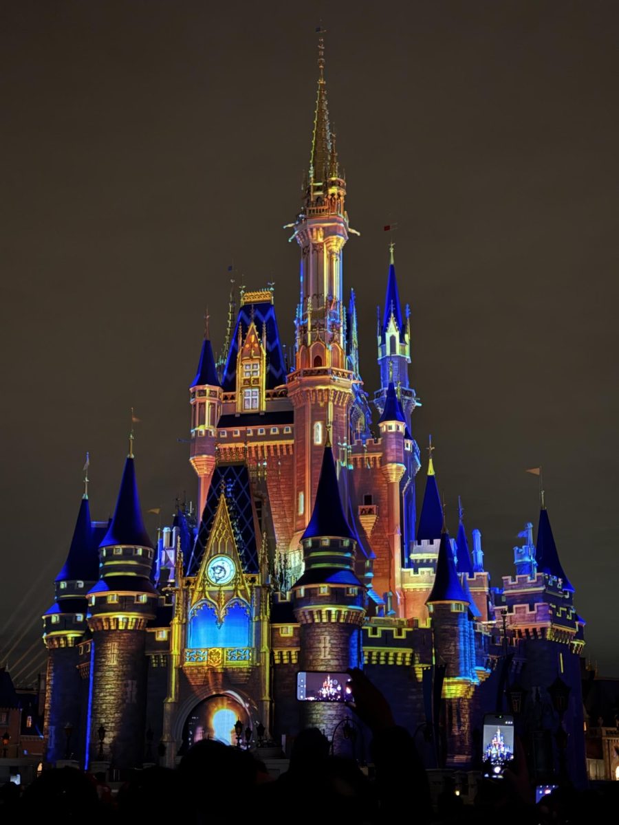 The vibrant nighttime light show on Cinderella Castle highlights one of the main attractions visitors look forward to when deciding if a Disney trip is worth it.